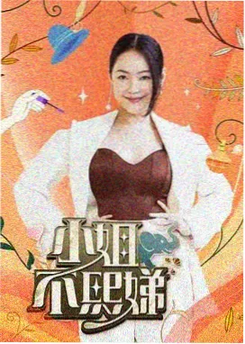 旧唱片回声 剧集缩略图